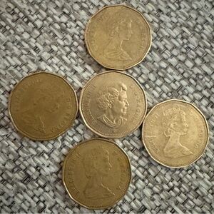These are Canadian $1 coins, commonly called “Loonies.”